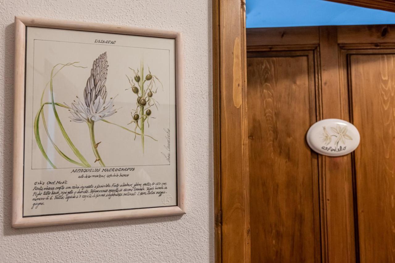 La Locanda Di Adele - Il Giardinetto B&B Scarperia Kültér fotó
